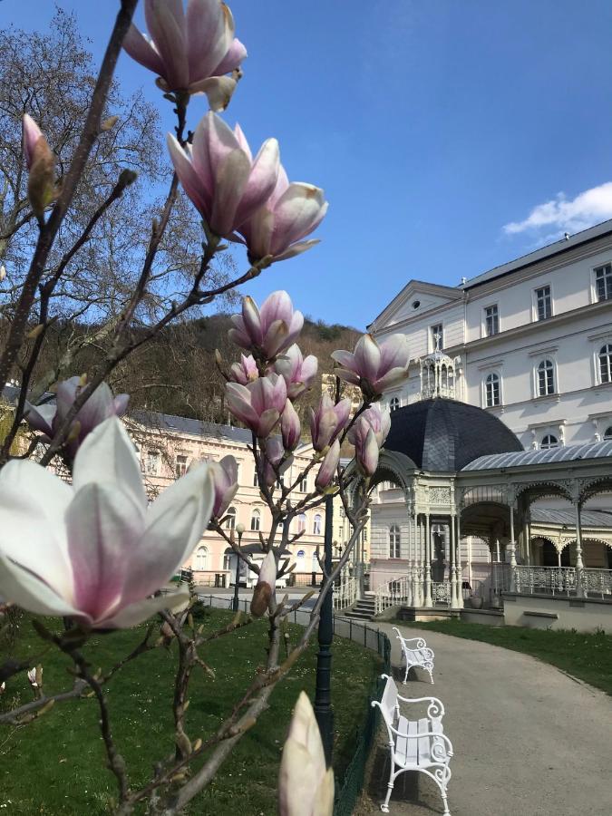 Apartment Sadova Karlovy Vary Exterior foto